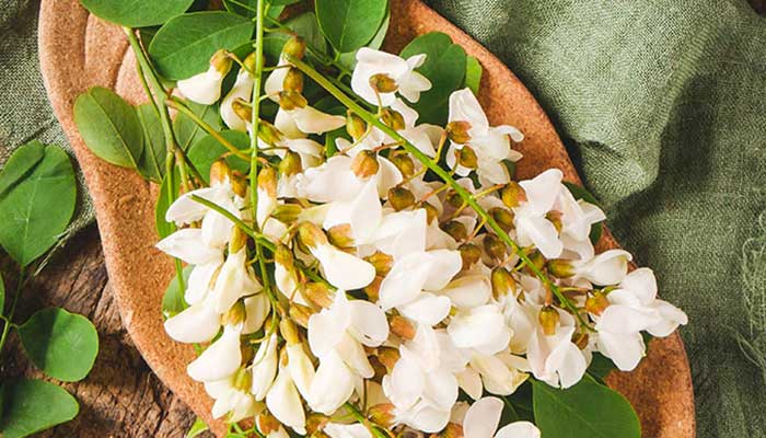 �����Ĺ�Ч������ ����ͼƬ